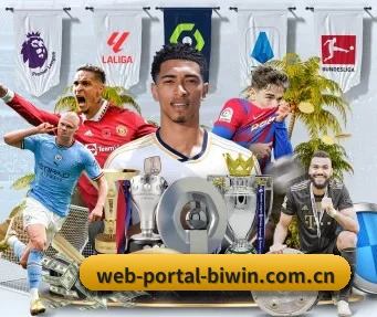 web-portal-biwin.com.cn APP 界面